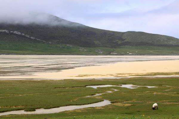 Isle of Harris by Diana Atwood McCutcheon