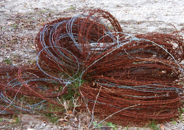 Coils of Wire by Diana Atwood McCutcheon