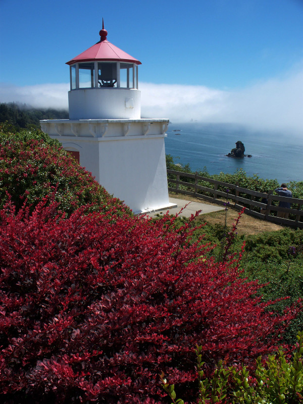 Trinidad Lighthouse (closer) by Diana Atwood McCutcheon