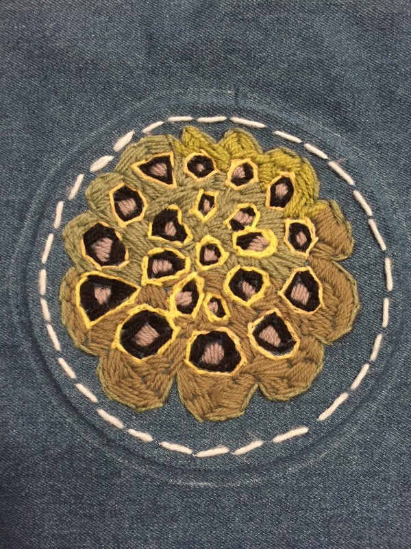 Lotus Pod with Seeds Cross Section by Diana Atwood McCutcheon