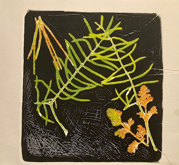 Nature Monoprint with Greg by Diana Atwood McCutcheon