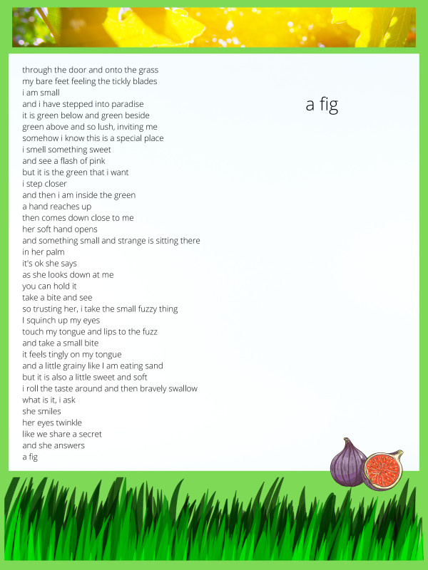 a fig by Diana L McCutcheon