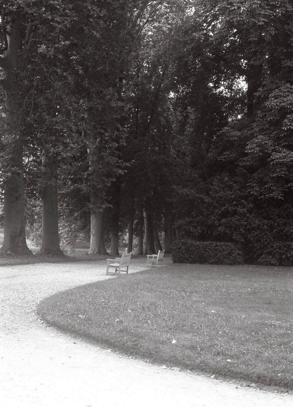 Fontainebleau Walks by Diana Atwood McCutcheon