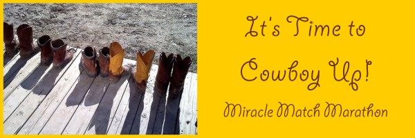 It's Time to Cowboy Up Banner by Diana Atwood McCutcheon