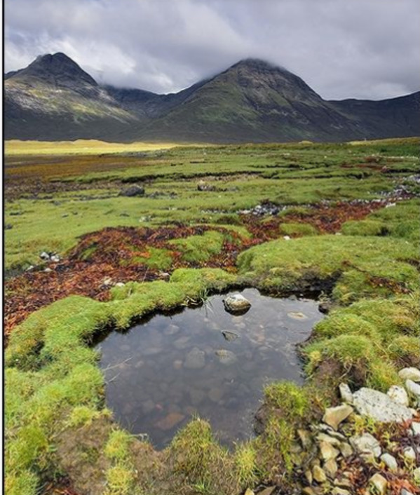 Cuillins, Isle of Skye by Diana Atwood McCutcheon