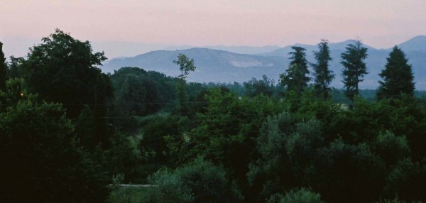 Italian Villa View by Diana Atwood McCutcheon