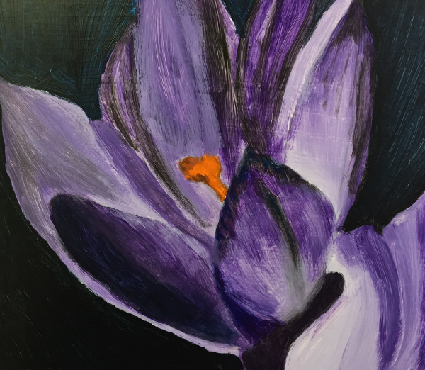Journal Cover Painted Crocus by Diana Atwood McCutcheon