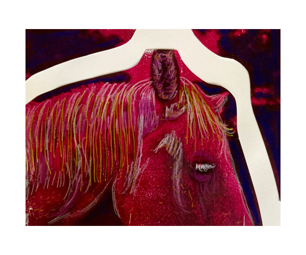 Texas (red) by Diana Atwood McCutcheon