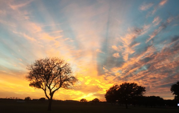 Texas Sunset by Diana Atwood McCutcheon