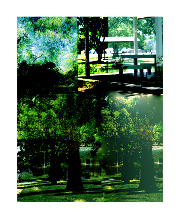 Wagner Park by Diana Atwood McCutcheon