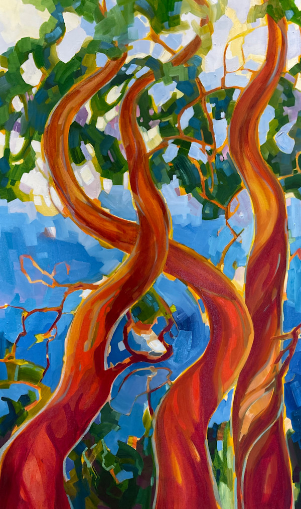 Madrone's By The Sea by Teresa Smith