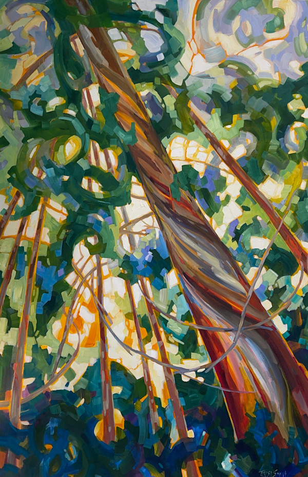 Look Up by Teresa Smith