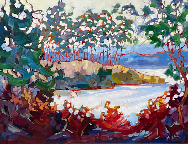 Patos Island by Teresa Smith