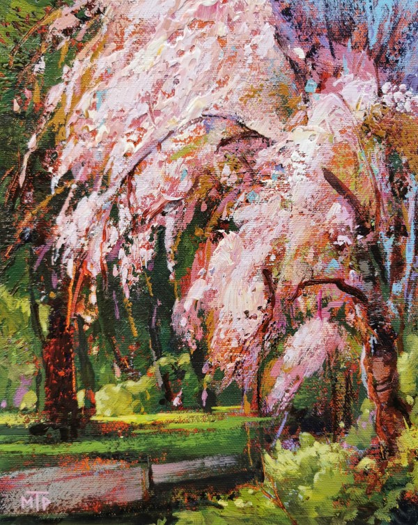 Sakura Season by Tatjana Mirkov-Popovicki