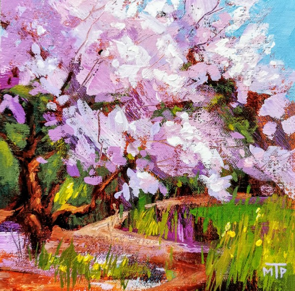 Sakura Season by Tatjana Mirkov-Popovicki
