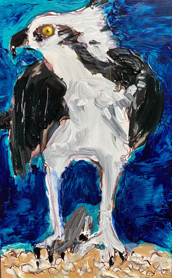 Osprey by Ana Guzman