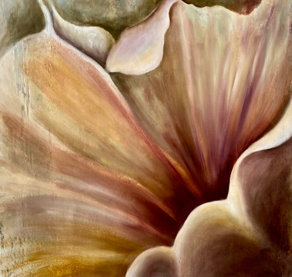 Aurelian Lily by Ansley Pye
