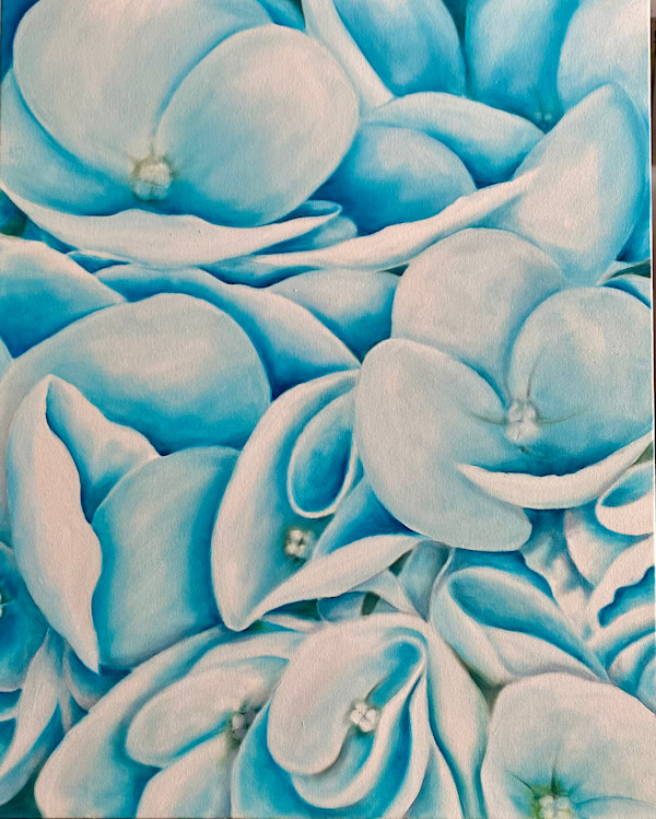 Blue Hydrangea by Ansley Pye