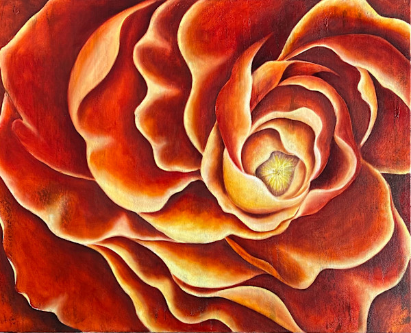 The Camellia by Ansley Pye