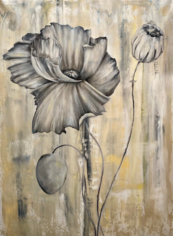 Croquis de Coquelicot by Ansley Pye