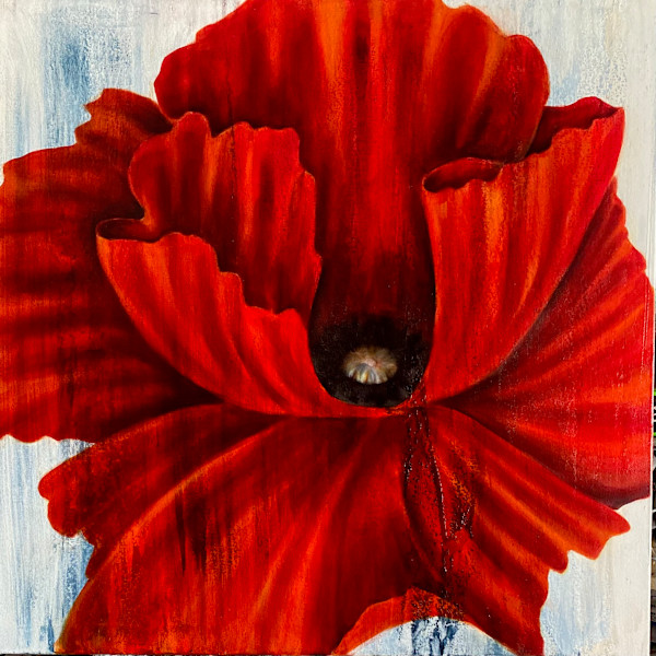 Poppy Red by Ansley Pye