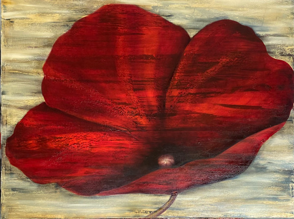 Red Poppy (to Remember) by Ansley Pye