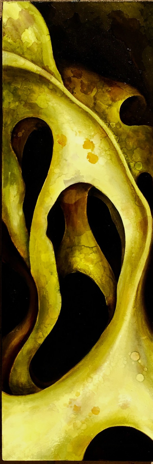 Stagg Horn Fern II by Ansley Pye