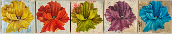 The Five Poppies by Ansley Pye