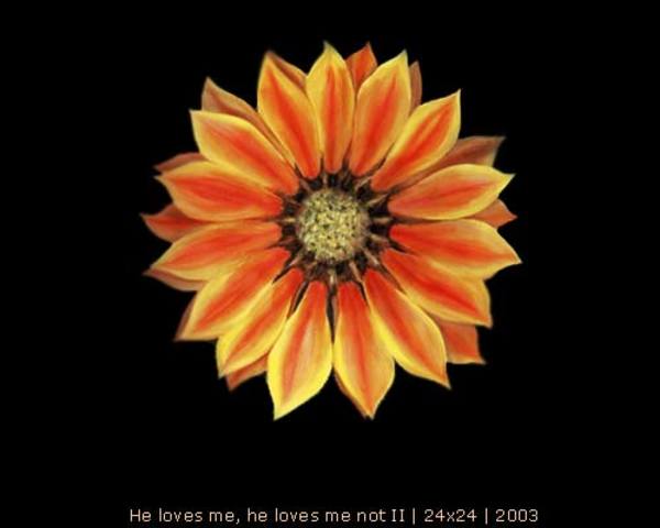 He Love me, he loves me not by Ansley Pye