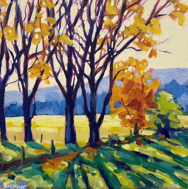 Backlit in Autumn by Clair Bremner