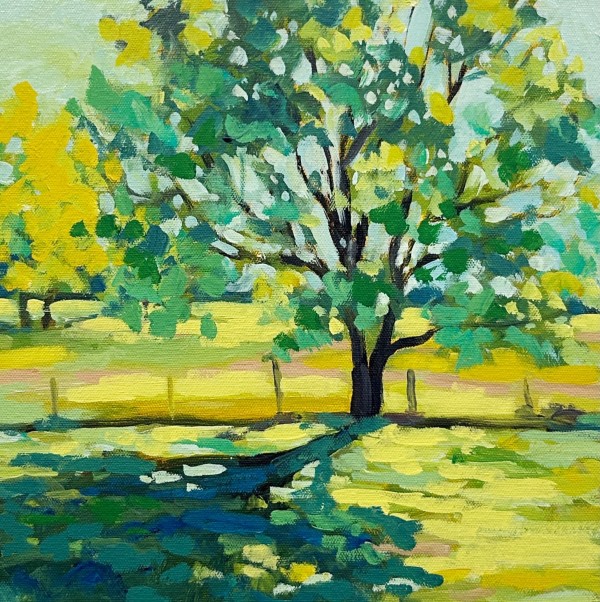 Perfect Light by Clair Bremner
