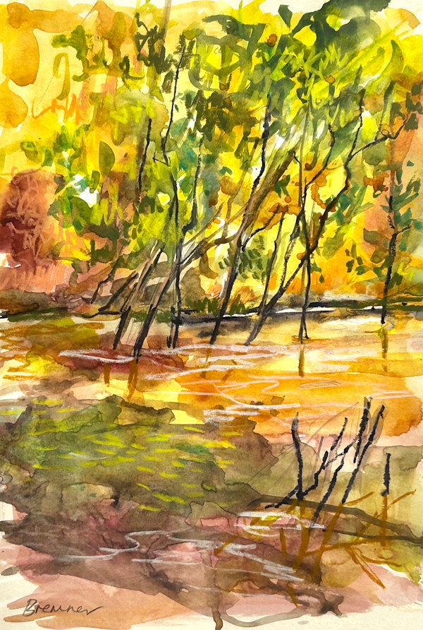 Sticks in the Water by Clair Bremner