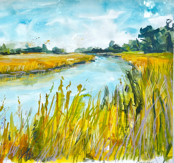 View up Tarwin River by Clair Bremner