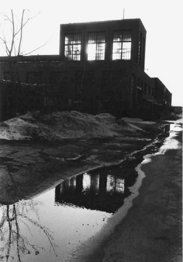 Chandler Street, North Buffalo by Patricia Layman Bazelon
