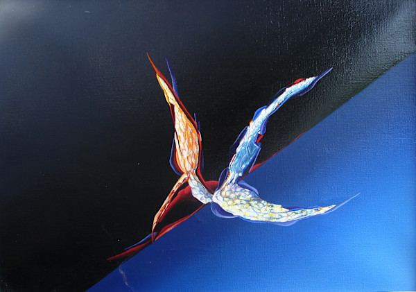 Rondine di Mare (Sea Swallow) by Michele Cossyro