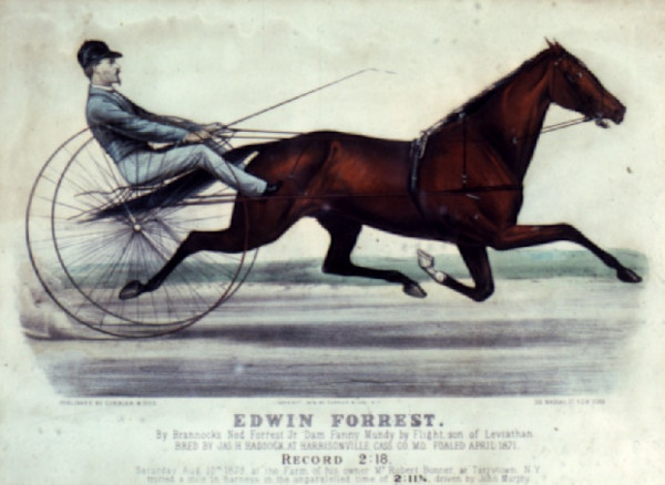 Edwin Forest by Unknown Artist