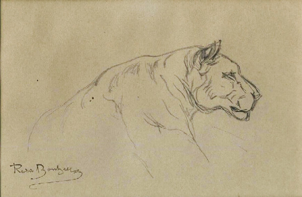 Head of a Lioness by Rosa Marie Bonheur