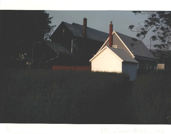 Louisiana Street by Patricia Layman Bazelon