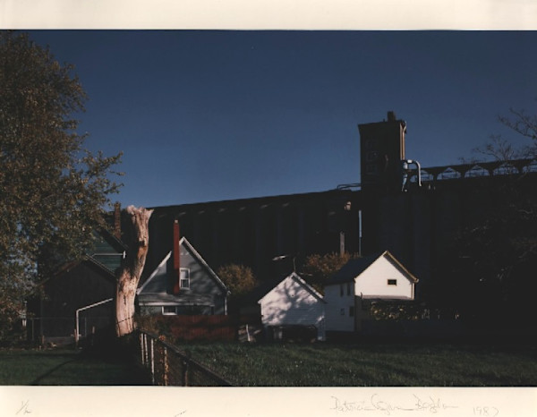 Louisiana Street by Patricia Layman Bazelon
