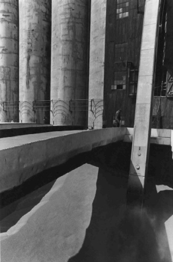 Standard Elevator in action by Patricia Layman Bazelon