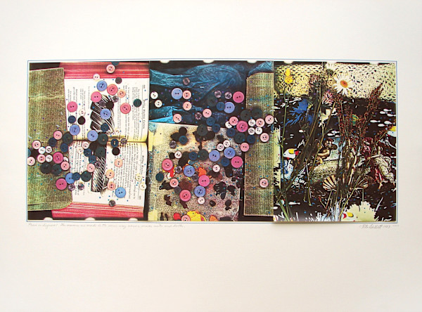 Prove or Disprove by Rita DeWitt, Image 2.