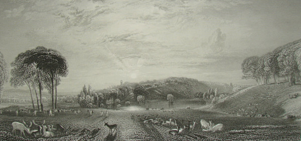 Petworth Park by after Joseph M. W. Turner