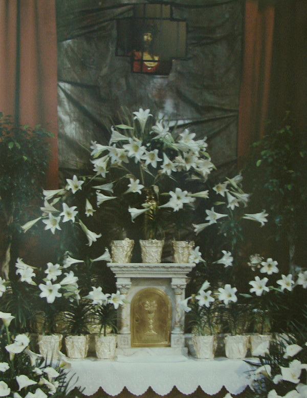 Repository: St John Kanty Parish, Buffalo, New York by Marion Faller