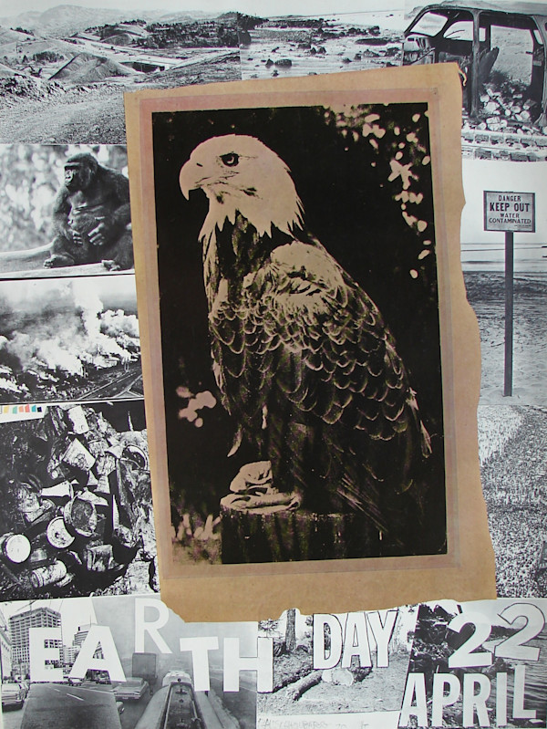 Earth Day by Robert Rauschenberg
