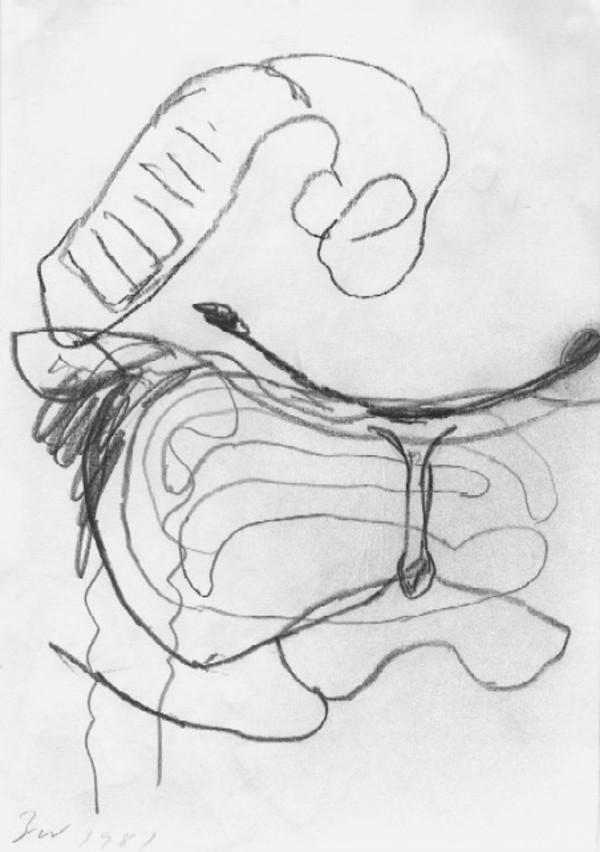 Untitled by Terry Winters, Image 1.