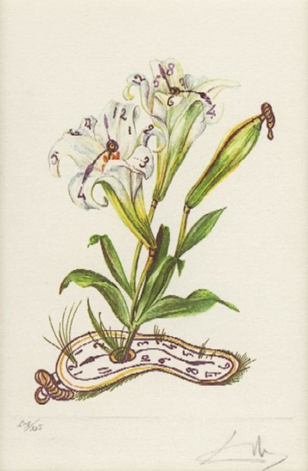 Lilium Longiflorum vel Tempus by Salvador Dali
