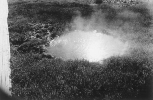 Untitled by Michael Bishop