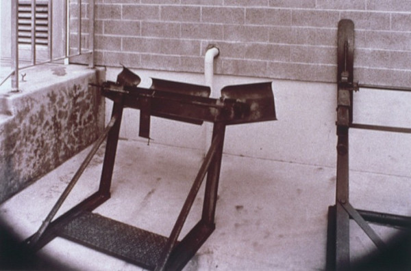 Untitled #126 by Michael Bishop