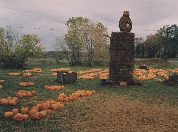 Straw Man, Tower Farm Market, Youngstown, New York by Marion Faller