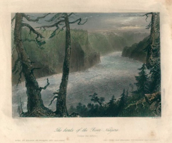 The Banks of the River Niagara (below the Falls) by William Henry Bartlett
